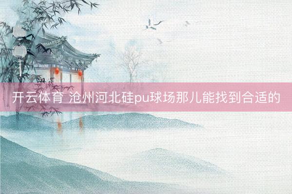 开云体育 沧州河北硅pu球场那儿能找到合适的
