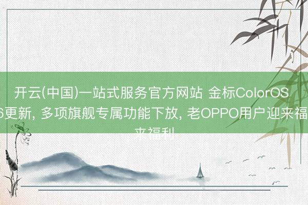 开云(中国)一站式服务官方网站 金标ColorOS 16更新, 多项旗舰专属功能下放, 老OPPO用户迎来福利